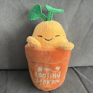 Aurora plush Im rooting for you Motivational Encouraging Gift